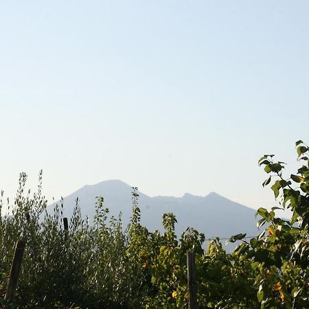 مبيت وإفطار Corbara  Agriturismo A Do' Cumparone المظهر الخارجي الصورة