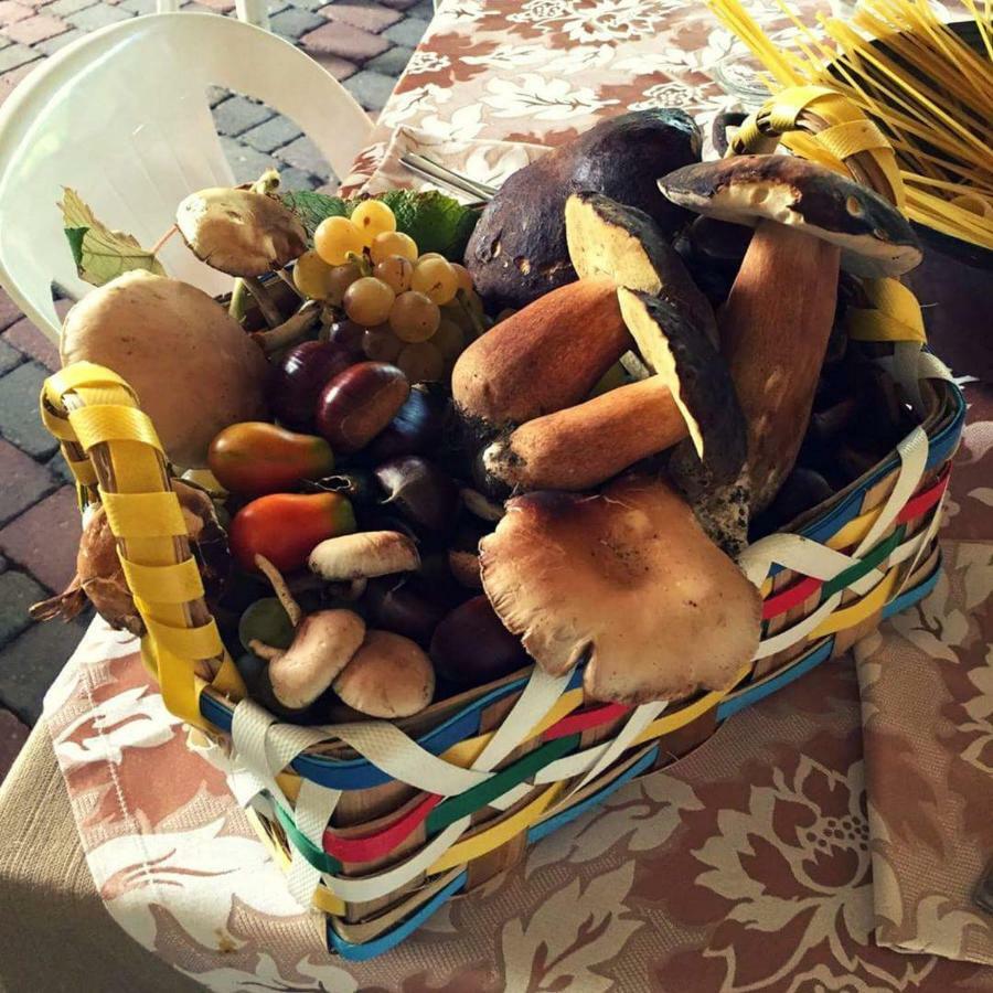 Corbara  Agriturismo A Do' Cumparone المظهر الخارجي الصورة