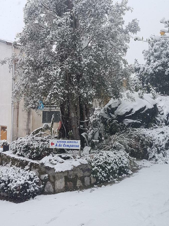 Corbara  Agriturismo A Do' Cumparone المظهر الخارجي الصورة
