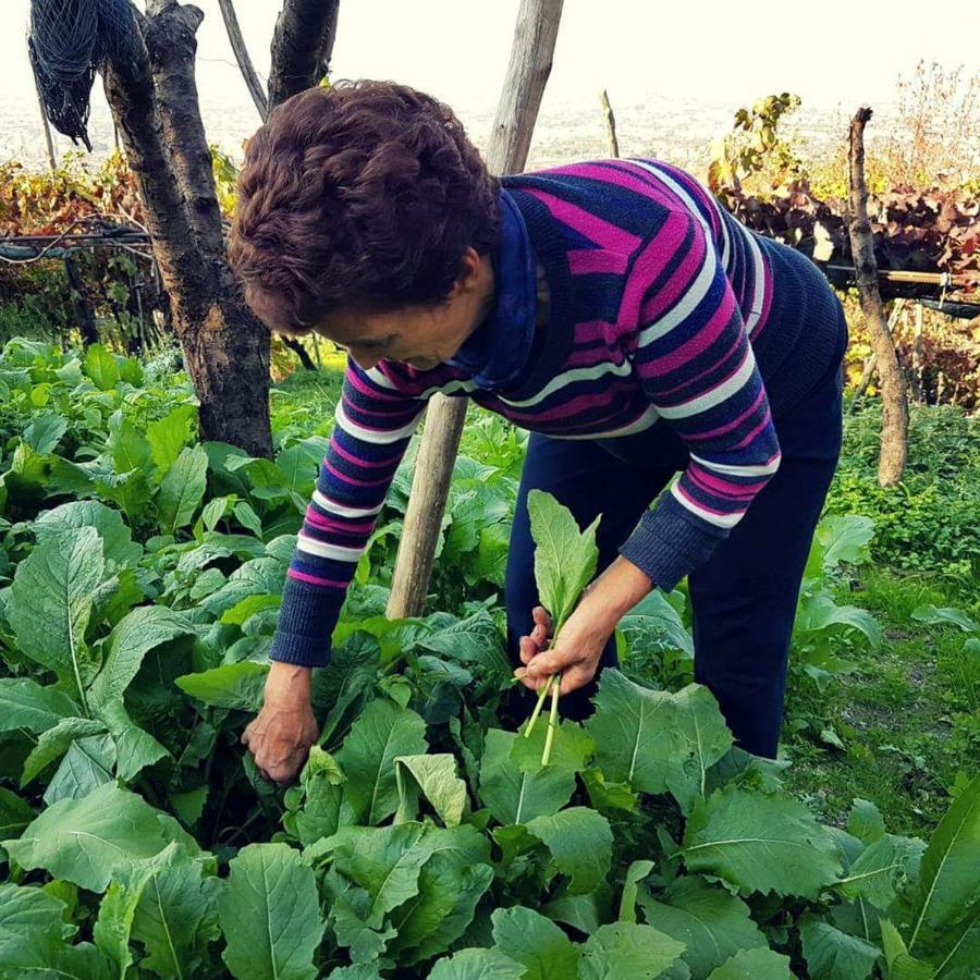 مبيت وإفطار Corbara  Agriturismo A Do' Cumparone المظهر الخارجي الصورة