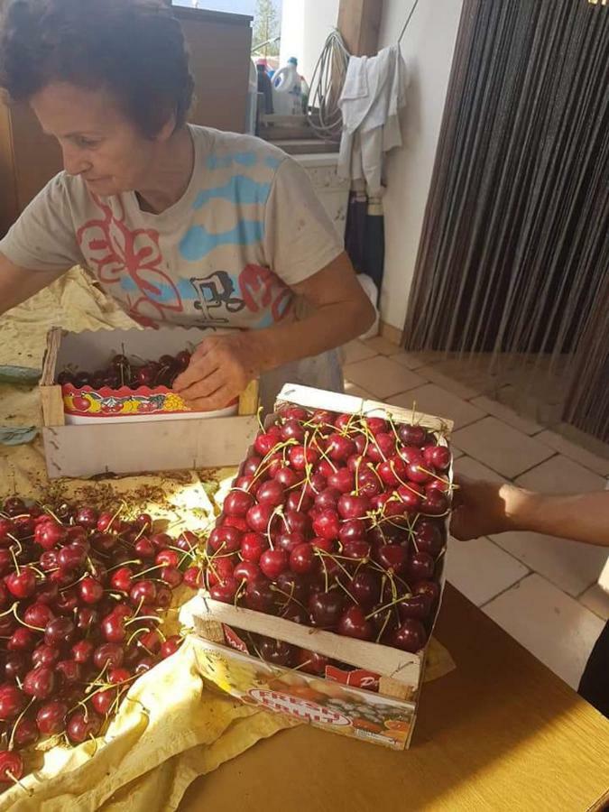 Corbara  Agriturismo A Do' Cumparone المظهر الخارجي الصورة
