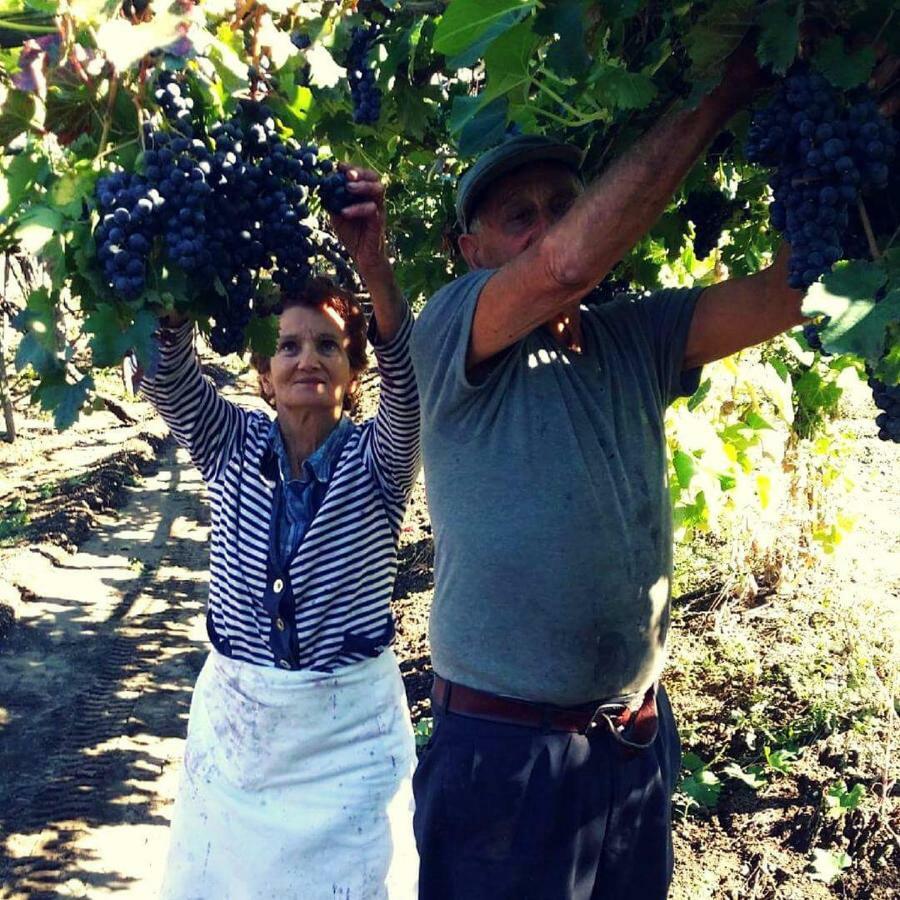 مبيت وإفطار Corbara  Agriturismo A Do' Cumparone المظهر الخارجي الصورة