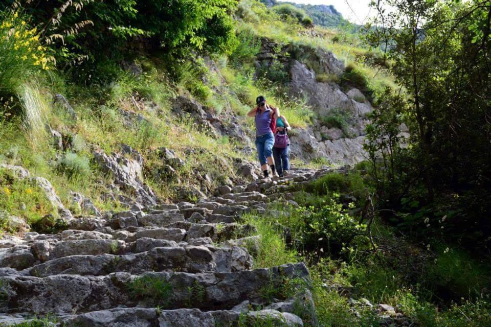 Corbara  Agriturismo A Do' Cumparone المظهر الخارجي الصورة