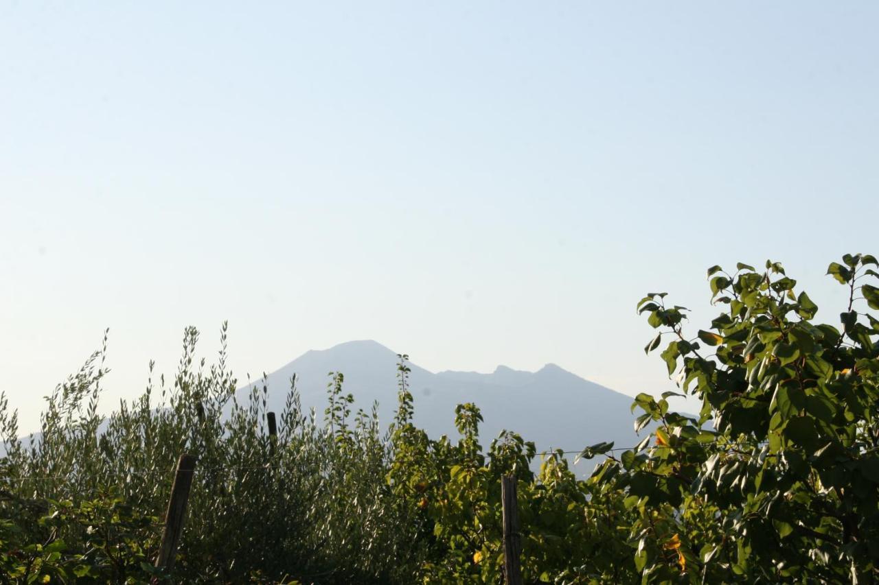 مبيت وإفطار Corbara  Agriturismo A Do' Cumparone المظهر الخارجي الصورة