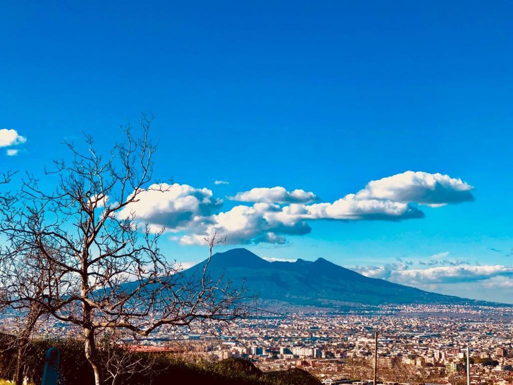 Corbara  Agriturismo A Do' Cumparone المظهر الخارجي الصورة